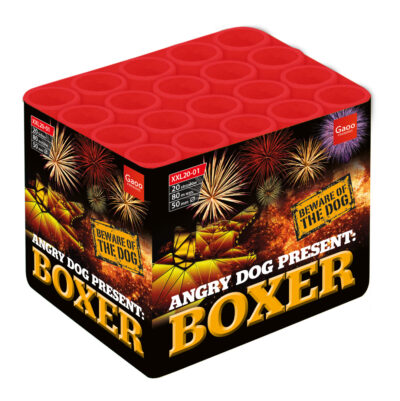 Bateria BOXER XXL25-01