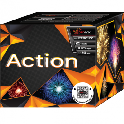 Bateria Action PXB2122
