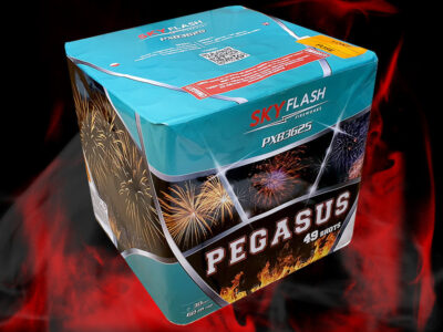 PXB3625 Pegasus