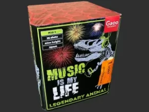 MUSIC IS MY LIFE M25-1  25 STRZAŁÓW