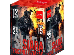SIARA M12-1 - GAOO